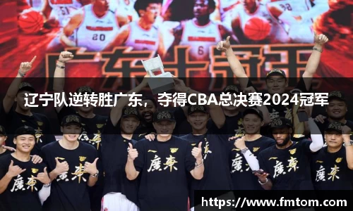 完美体育在线入口官网