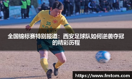完美体育